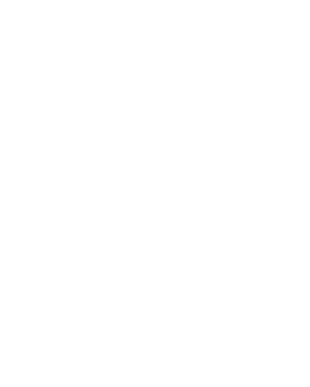 Touch NGO E walllet